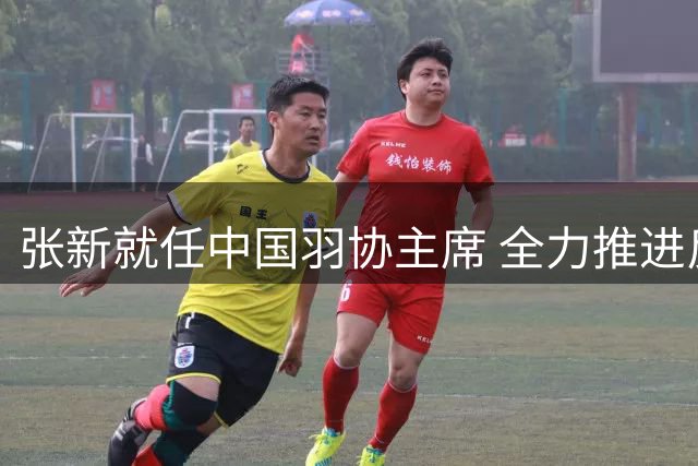 张新就任中国羽协主席 全力推进反腐倡廉工作